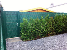 Thermoplast - Set di 6 strisce di protezione per privacy, 9,5 cm x 52 m, verde