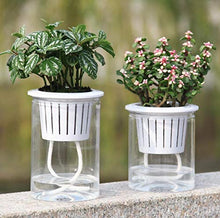 QJXSAN Assorbimento Flower Pot Automatico d'Acqua Trasparente Rotonda idroponica Flower Pot (Size : Small)