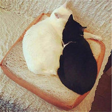 XKMY Moderno Nuovo E Moda Classico Creativo Pet Mat Cat Cane Letto Cuscino Cuscino Cuscino Pane Toast Materasso Cuscino