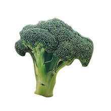 Good01 Creative Plush Toy Simulazione Posteriore Cuscino 50,8 cm Sedia da Ufficio Divano Cuscino Verdure, Broccoli, 2