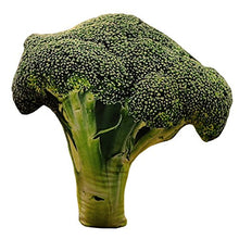 Koala Superstore Cuscini Decorativi Cuscini Cuscini Decorativi Carino Decor Cuscini Broccoli