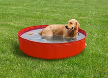 New Plast 0102 - My Dog Pool Piscina per Cani, 140 x 30 cm (ØxH)