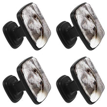 Russian domesticated red fox Pomelli per Porta Set di 4 Pomelli per Mobili Manopole per Cassetti Cucina Armadio Vetro
