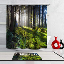 Combinazione Bagno. Immagini Chiare E Colori Vivaci Rendono Il Tuo Bagno Pieno di Vita. Accessori da Bagno. La Luce del Sole nella Foresta.