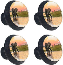 Elephant Sunrise Wildlife Pomelli per Porta Set di 4 Pomelli per Mobili Manopole per Cassetti Cucina Armadio Vetro