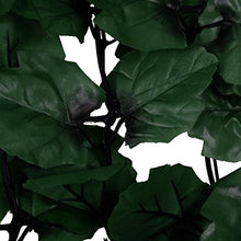 Reticolato per privacy N77 giardino balcone decorativo poliestere scuro 300x100cm