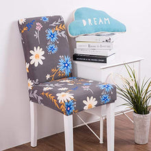 TREESTAR Set di sedia da pranzo per casa, hotel, ristoranti, 4 stagioni