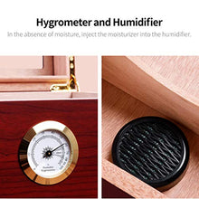 Umidificatore Humidor Cigar Box - Humidor da Tavolo in Legno di Cedro con Divisore in Cedro E Igrometro in Vetro Ad Anello in Ottone, Contiene da 25 A 50 Sigari,Marrone