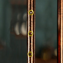 GJSN Portabici per Vino, Crisante Porta in Vetro Appeso Dimensioni: 60/80 / 100X30Cm,Bronzo,100 Cm.