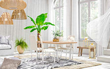 Albatros 2939 Verona Set di 4 sedie da Pranzo, Beige, Piede Cromato, SGS Tested