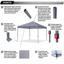ABCCANOPY Gazebo pop-up 2,5 x 2,5 m con borsa a rulli di aggiornamento, 4 sacchi pesi, pali e corde (telaio grigio)