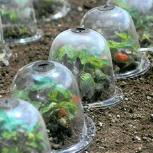 Holibanna 2 Pezzi Copertura Protettiva per Piante Copertura vivaio Giardino Mini Copertura Isolante (Bianca)