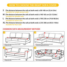 Agroupdream - Copridivano colorato in tessuto spandex resistente per divano, chaise longue e chaise longue per bambini, gatti, cane Boston Terrier a 2 posti