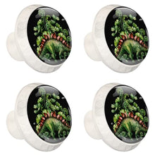 4 pcs White Cabinet Knobs for Kitchen Cabinets Bedroom Wardrobe Dresser Drawers Black green dinosaur