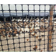 Rete per Pollame, Rotolo di Recinzione in Plastica, Sicurezza dei Bambini, Maglia da 2 Cm con Chiusura Lampo può Tagliare per La Costruzione, Pollo, Cane, Coniglio, Terrazza, Balcone