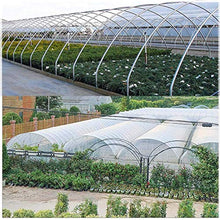 QIAOH Telone Impermeabile Resistente 2x5m, Telo Trasparente Antipioggia in PVC Resistente allo Strappo Copertura per Piante da Giardino per Patio Balcone con Asola,Transparent