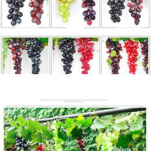BIGBOBA. 18 Grano/Simulazione Plastica Frutta UVA Stringa Decorazione,Verde Protezione Ambientale Decorazione Domestica in Rattan