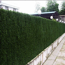 Zelsius, protezione dalla privacy in ottica di abete, ideale per terrazza, balcone e giardino