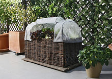 Catral Germania Città Giardino, Insetti Custodia Kit Planter, Trasparente, 104 x 44 x 39 cm, 71080010