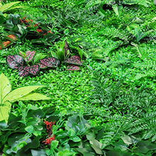TTIK Siepe Sintetica Sempreverde - Artificiale per Balcone Terrazze Balconi Antivento Privacy Decorazioni della pianta da Parete,40 × 60CM,C,10Pcs