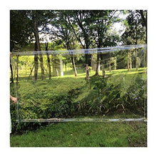 GHHZZQ Telone Copertura 0,3 mm Dick zum Innen Draussen Winddicht Staubdicht Poncho Zugfest Telone Giardino Copertura Impermeabile (Color : Clear, Size : 3x4m)