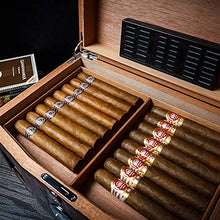 CLJ-LJ Accessori Sigaro con Cedar impiallacciatura di Legno visivi Cigar Humidor scatole Trasparenti della Vernice