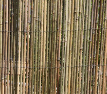 HaGa-Welt.de - Frangivento/frangivista in bambù, dimensioni: 5 x 1,5 m