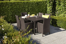 Allibert Iowa Poltrona Dining, Marrone/Tortora (Imbottitura in Policotone)