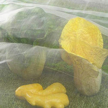 BYWWANG Copertura per Rete Protettiva per Frutta per ortaggi da pollame, 2.1x10m