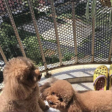 Rete per Pollame, Rotolo di Recinzione in Plastica, Sicurezza dei Bambini, Maglia da 2 Cm con Chiusura Lampo può Tagliare per La Costruzione, Pollo, Cane, Coniglio, Terrazza, Balcone