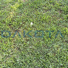 Salvaverde Pz 10 Green plus 40x80x4 grigliato da giardino