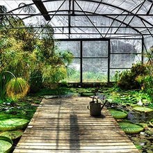 C-J-H Copertina Impermeabile Trasparente con Telo a Pioggia Pioggia con Occhielli, Serra da Giardino per Personalizzare la Tenda,5×5m