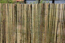 HaGa-Welt.de - Frangivento/frangivista in bambù, dimensioni: 5 x 1,5 m