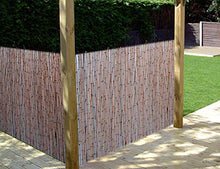 Kingfisher split Bamboo display H2 x L3 M