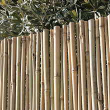 ARELLA Canna Passante Bamboo Ø 14-16 mm (CM 100 X 300)
