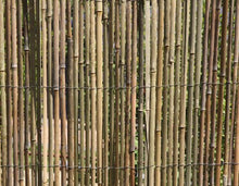HaGa-Welt.de - Frangivento/frangivista in bambù, dimensioni: 5 x 1,5 m