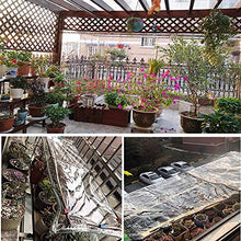 ZXHQ Telone Impermeabile per Esterno Trasparente 2x4m, Teloni Rinforzati Impermeabili con Occhielli, Telo Trasparente Impermeabili Multiuso per Gazebo Carport