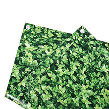 BAKAJI Telo Copertura Frangivista Frangivento per Ringhiera Protezione Balcone Dimensione 600 x 90 cm in Tessuto PVC Aggancio ad Occhielli Corda 24mt Inclusa (Edera)