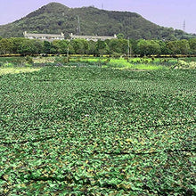 AWCPP Camo Netting Shading Net Net Camouflage Net | Rete Ombreiata per il Parasole da Parasole Camping Caccia Alle Riprese | Miserti Miserti Leero Durabile Senza Griglia,a,10 × 10M.