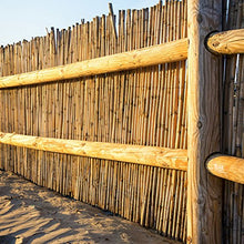 VERDELOOK Arella River in cannette di Bamboo Pieno, 1x3 m, coperture recinzioni