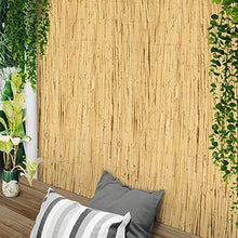 Sol Royal Arella in Canniccio Premium 100x600cm (HxB) SolVision S36 Recinzione di canne per Giardini e Balconi, Frangivento e Frangivista in Canna Spessa