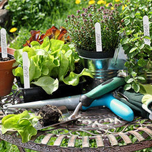 Relaxdays Set da 300 Etichette per Piante, Targhette Identificative per Aiuole e Piantine, L: 13 cm, Plastica, Bianco