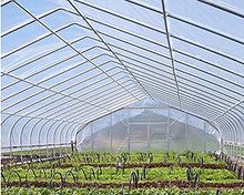 N / A Teloni Telo Trasparente Resistente allo Strappo, Telo Impermeabile con Occhielli, Perfetto per Film Isolante per Piante da Giardino per Auto da Giardino(Size:2×3m)