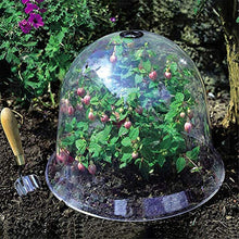 Emeili 6Pcs Coperture per Piante in Plastica, Mini Copertura per Piantagione a Temperatura Costante, Coperture per Piante a Campana Riutilizzabili per Giardino