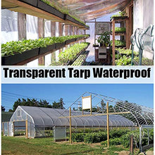 QIAOH Telone Impermeabile Resistente 2x5m, Telo Trasparente Antipioggia in PVC Resistente allo Strappo Copertura per Piante da Giardino per Patio Balcone con Asola,Transparent