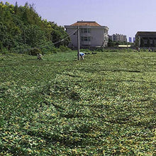 AWCPP Camo Netting Shading Net Net Camouflage Net | Rete Ombreiata per il Parasole da Parasole Camping Caccia Alle Riprese | Miserti Miserti Leero Durabile Senza Griglia,a,10 × 10M.