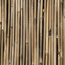 VERDELOOK Arella River in cannette di Bamboo Pieno, 1x3 m, coperture recinzioni