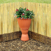 Kingfisher split Bamboo display H2 x L3 M