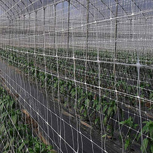 Il Campo RETE SOSTEGNO ORTAGGI 15X17 MT.1.00X1000B