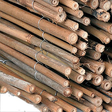 Arella Taim rileg. Filo di Ferro Recinzioni Divisori Ombra per Esterno 150x300 cm EV